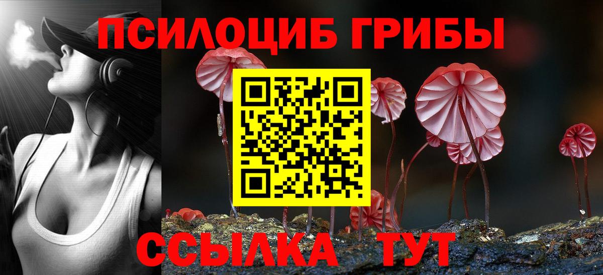 Галлюциногенные грибы мицелий Кстово